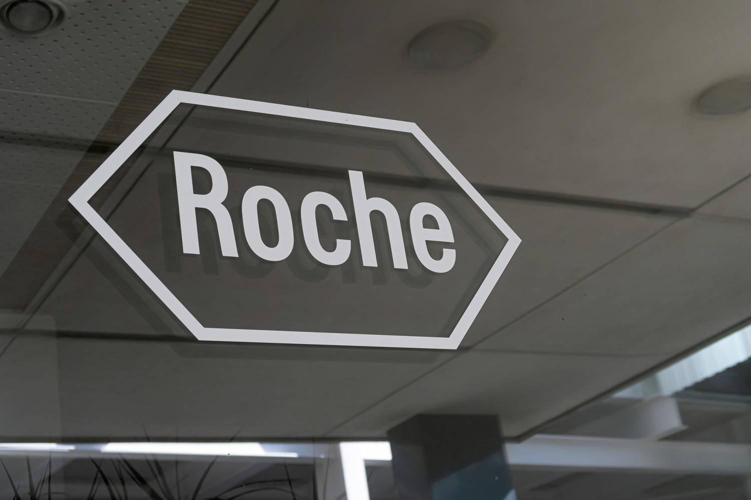 Roche holding