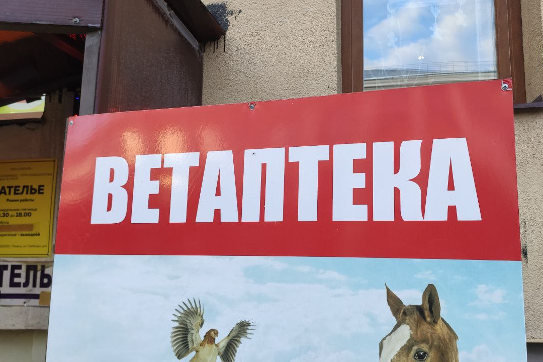 Россельхознадзор предупредил об обороте контрафактных импортных ...