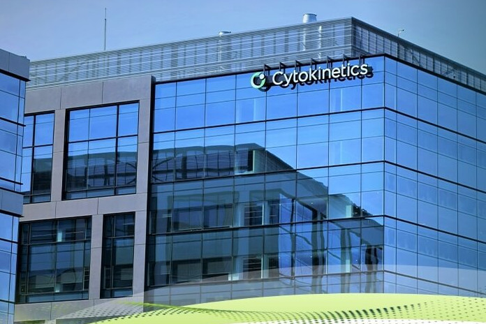 Препарат компании Cytokinetics показал эффективность против гипертрофической кардиомиопатии