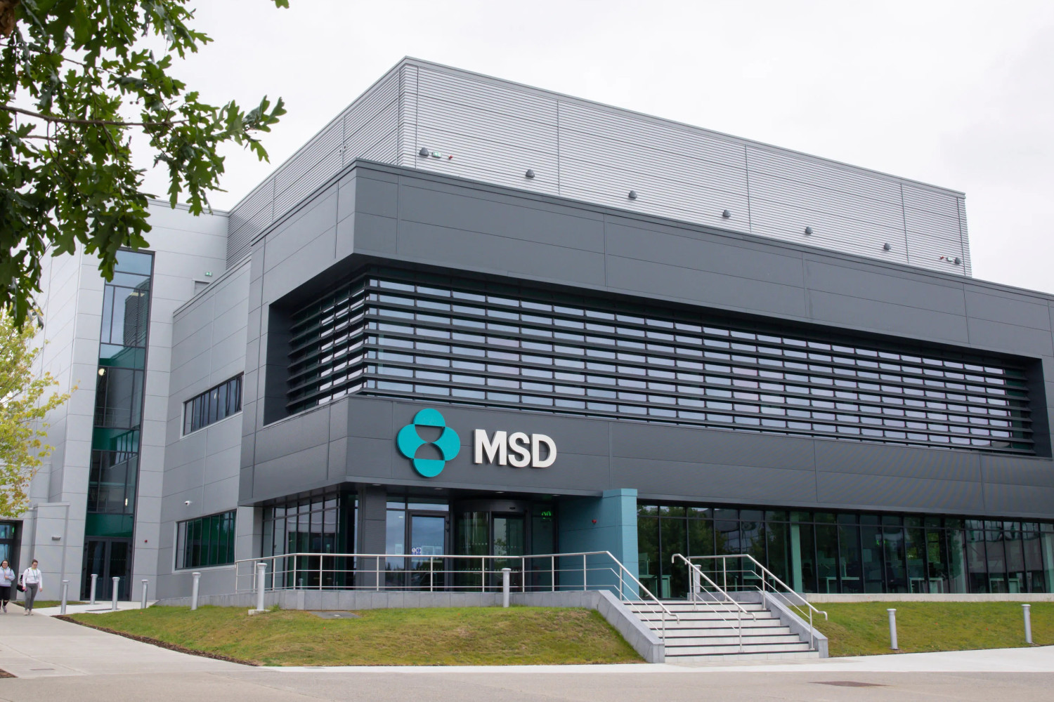 MSD купит за 3 млрд долларов разработчика препаратов от заболеваний глаз