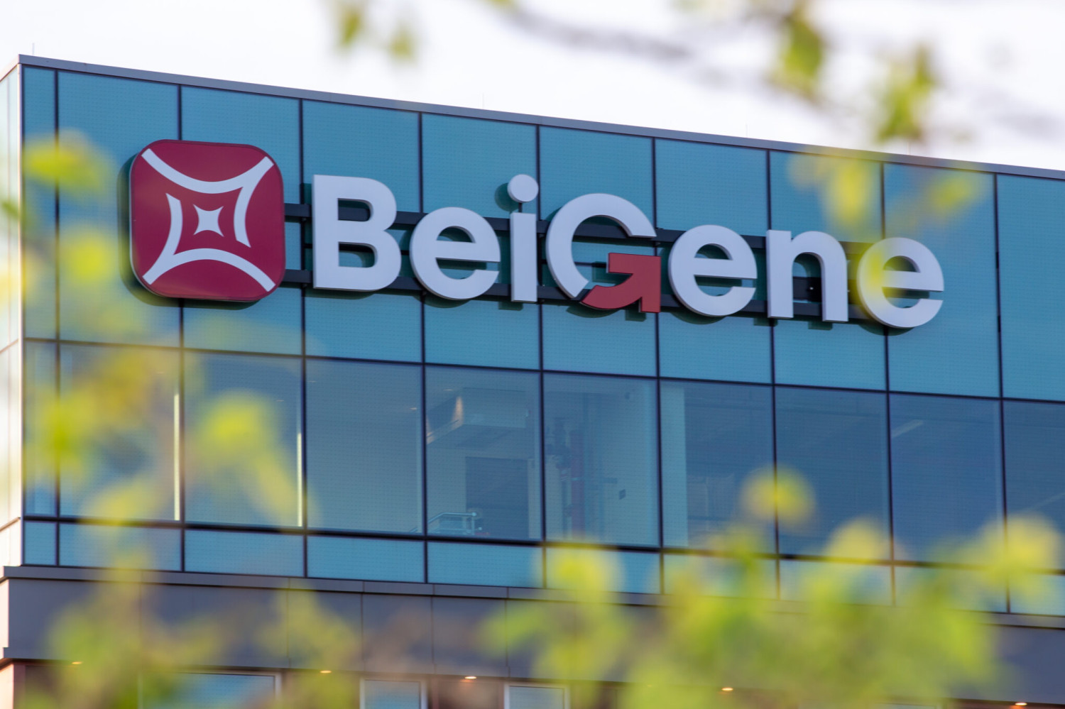 Китайская BeiGene начала продажи ингибитора PD-1 в США дешевле «Китруды»