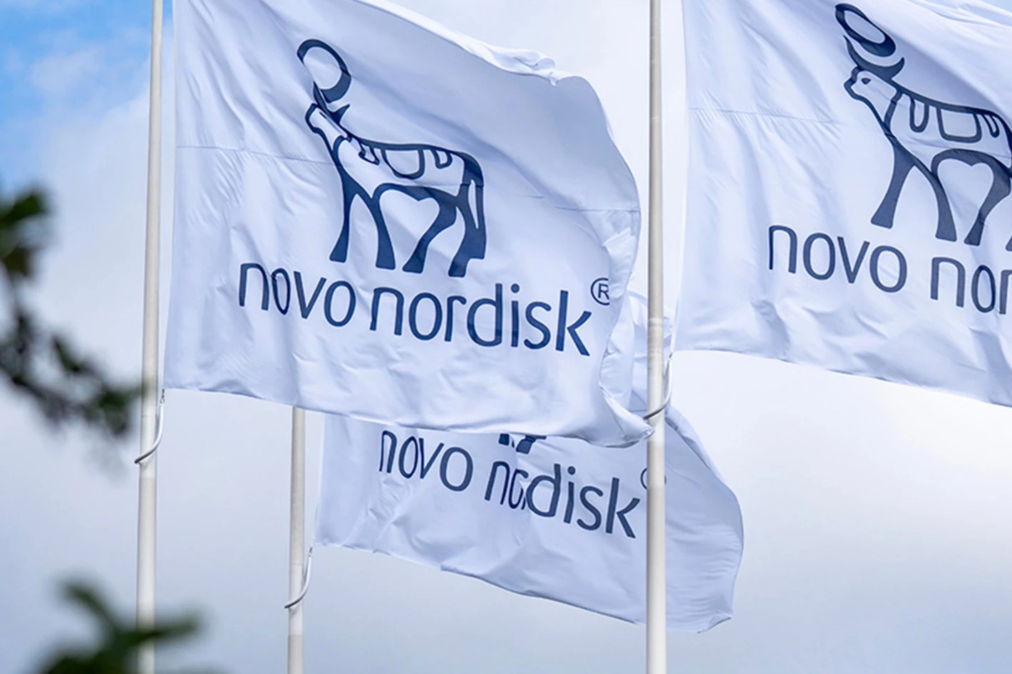 Novo Nordisk получила одобрение FDA на первый подкожный препарат от гемофилии