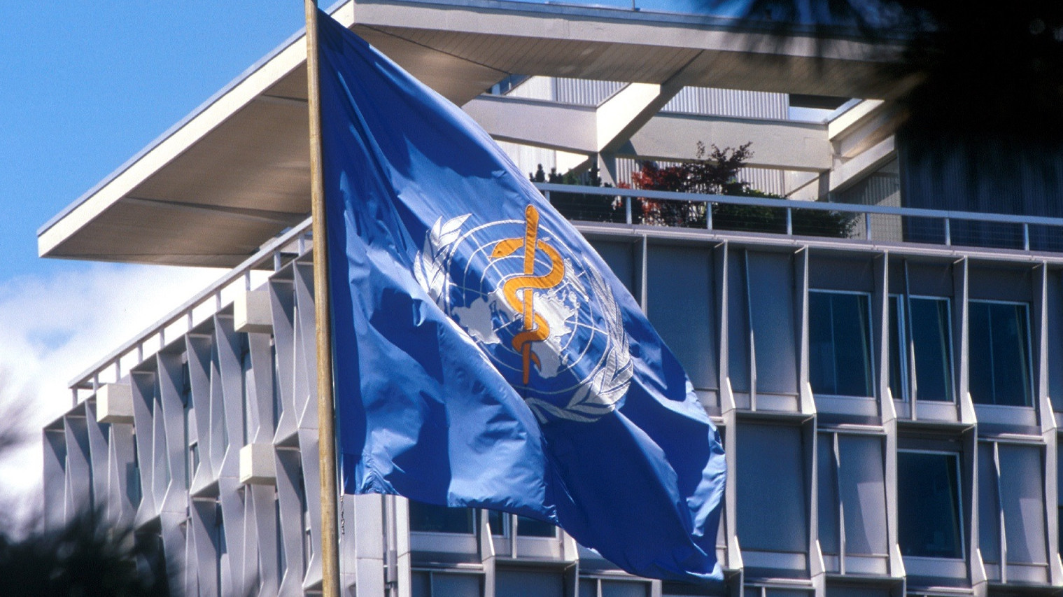 ВОЗ впервые рекомендовала лечить ожирение с помощью препаратов — агонистов ГПП-1