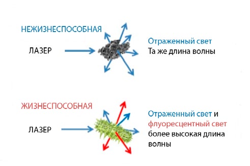500xxxx_ru_white_paper_real_time_variable_particle_monitoring_revb_(3).jpg (25 KB)